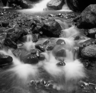 Fotografía  en blanco y negro, en larga exposición, Cañada