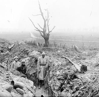 Tranchées dévastées dans le secteur de Vacherauville, au nord de Verdun.