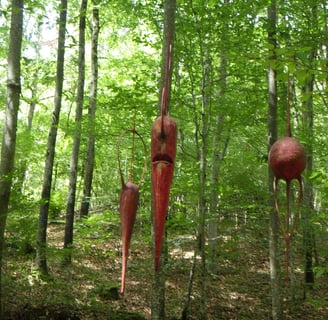 Vent des Forêts 