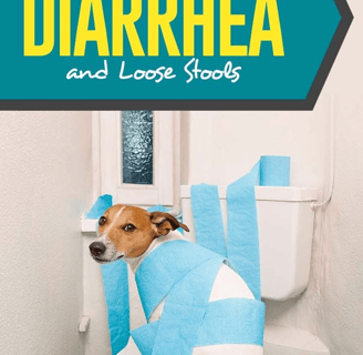 Dog food for Diarrhea