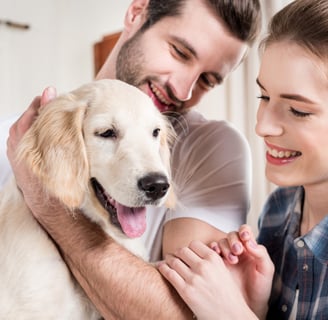 dog love
