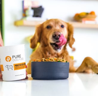Fresh dog food