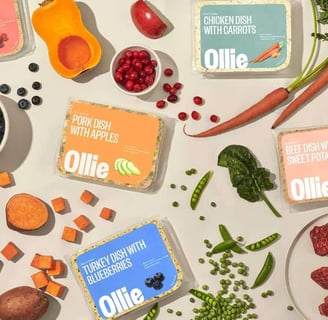 Ollie Lab and Cranberries dog food