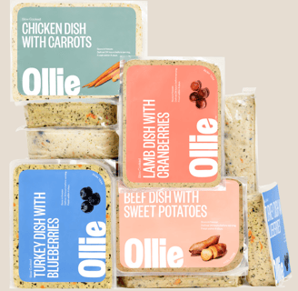 Ollie Turkey Recipe dog food