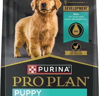 Dog food for puppies