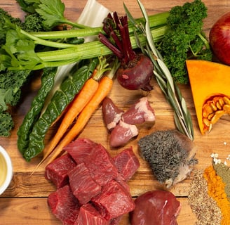 Raw dog food