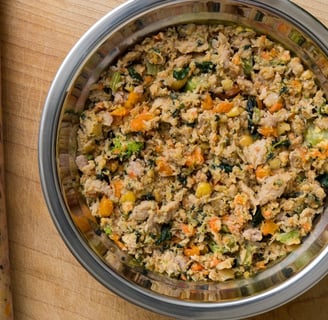Dog food for finicky eaters