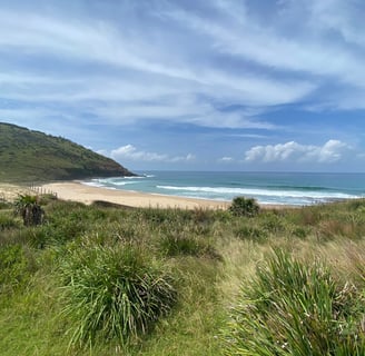 beach with ocean views and rolling hills in background