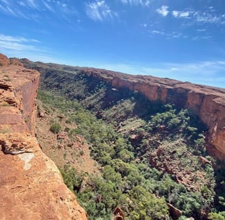 a person standing on a cliff overlooking a valley