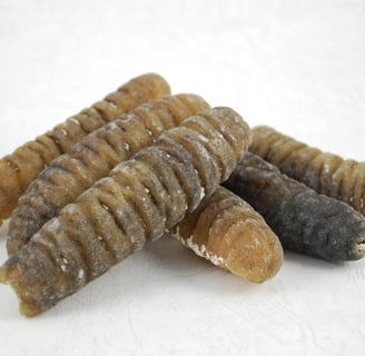 Dried trepangs (sea cucumbers) selected by Madopex, Madagascar's leader in seafood exports.