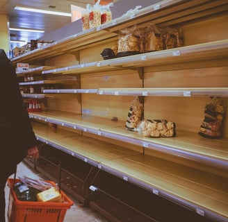 empty shelves in store affected by tariffs - tariff survival strategies