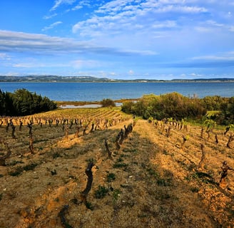 Mythopia - Curve Wines