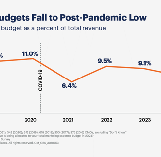 Graph showing the fall of marketing budgets from 2019 to 2024