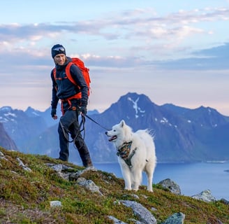 randonnée avec son chien en montagne