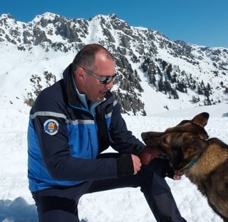 exercice chien avalanche