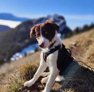 velcro au col de Chavanne