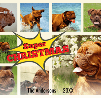 a dogue de bordeaux christmas card with a dogue de bordeaux