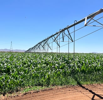 Sistema de riego para la agroindustria