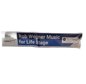 Rob Wegner music stage for life