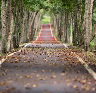 Fall, Best Time to Visit Bergen, Norway, for Sightseeing