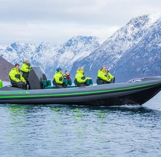 The Best Geiranger Fjord Boat Tours