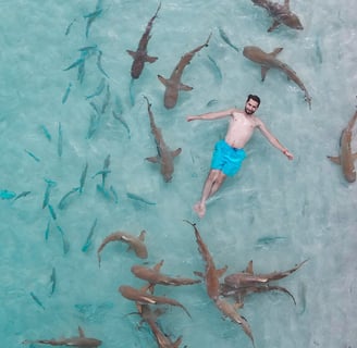 tour raja ampat
