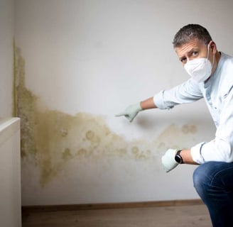 Inspección de vivienda
