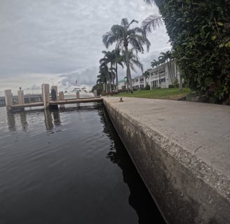 Seawall Inspection, Seawall Repair