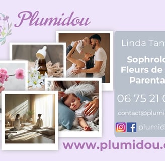 carte de visite plumidou