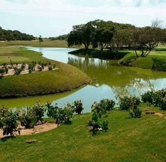 Aretê Buzios Clube de Golfe