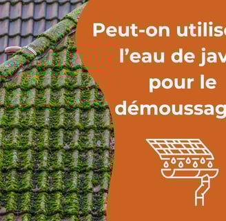Peut-on utiliser de l’eau de javel pour le démoussage ?