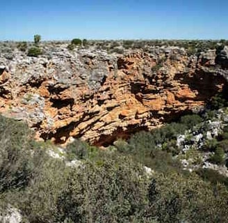 Cave entrance homes to masked owls and kestrels