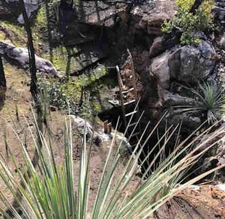 Ladder down into Kelly Hill show cave, Kangaroo Island used to inspect fire impacts