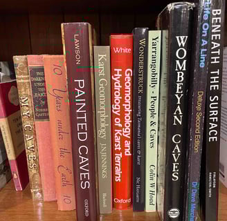 Snapshot of book spines in the ASF library