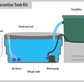 Quarantine Protocols in fish