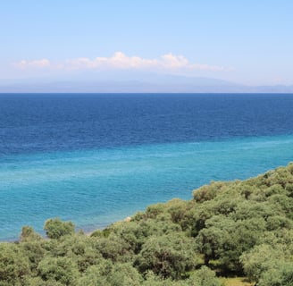 a view aegean sea and olive grove