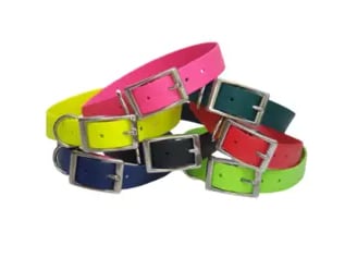 dog collars in various colors
