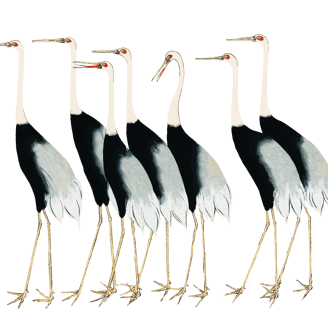Vintage illustration of a row of seven long-legged cranes, walking in the same direction.