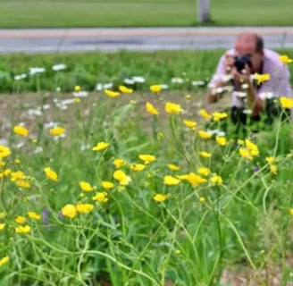 Photographe au travail dans les fleurs