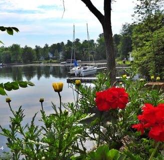 North Hartley, lac Massawippi, fleurs