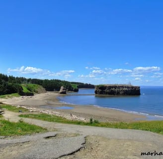 Pokeshaw Rock, Ile aux oiseaux, Nouveau-Brunswick