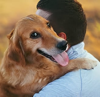 cómo saber si mi perro me quiere
