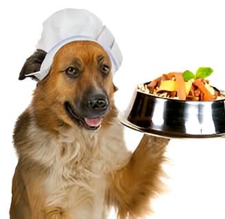 Perro chef