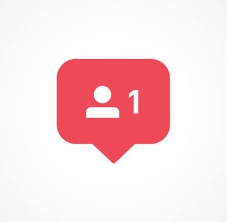 seguidores