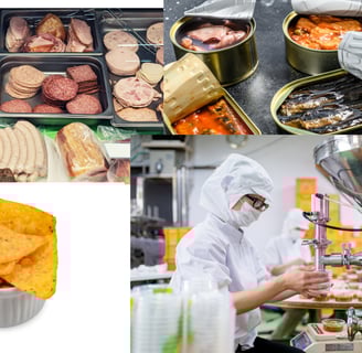 Imagem ilustrando alimentos ultraprocessados comuns na dieta moderna. Mostra embutidos como mortadela, salame e salsichas, co