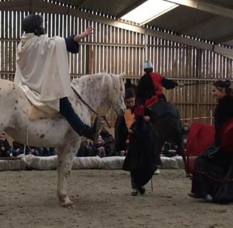 Michal Bleibtreu, danseuse, danse le flamenco devant son cheval