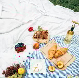 a picnic blanket