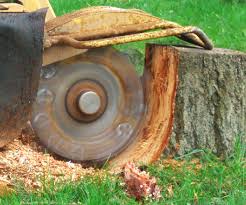 Reno tree service tree stump grinding