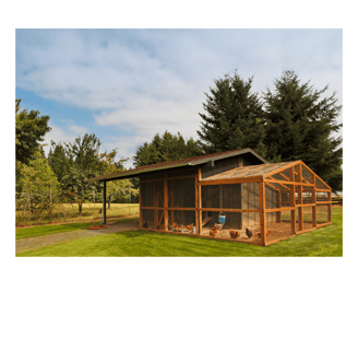 Chicken Coop