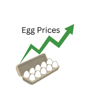 egg prices and recipes